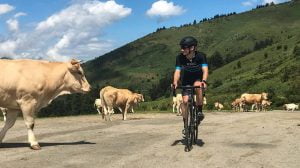 Pyrenees cycling at the top of the Col d'Aspin surrounded by cows, with a blue sky