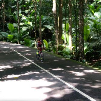 Cyclist cycling through jungle on Sans Soucis Road Seychelles