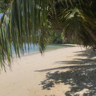 Beach at the Constance Ephilia hotel Seychelles
