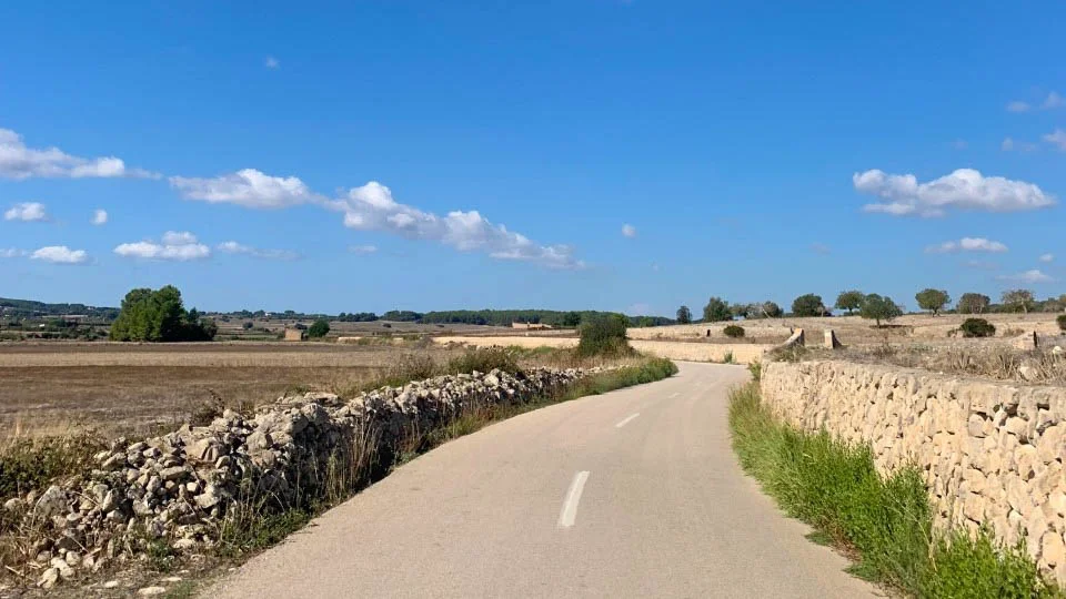 Road to Randa, Mallorca, perfect for cyclists