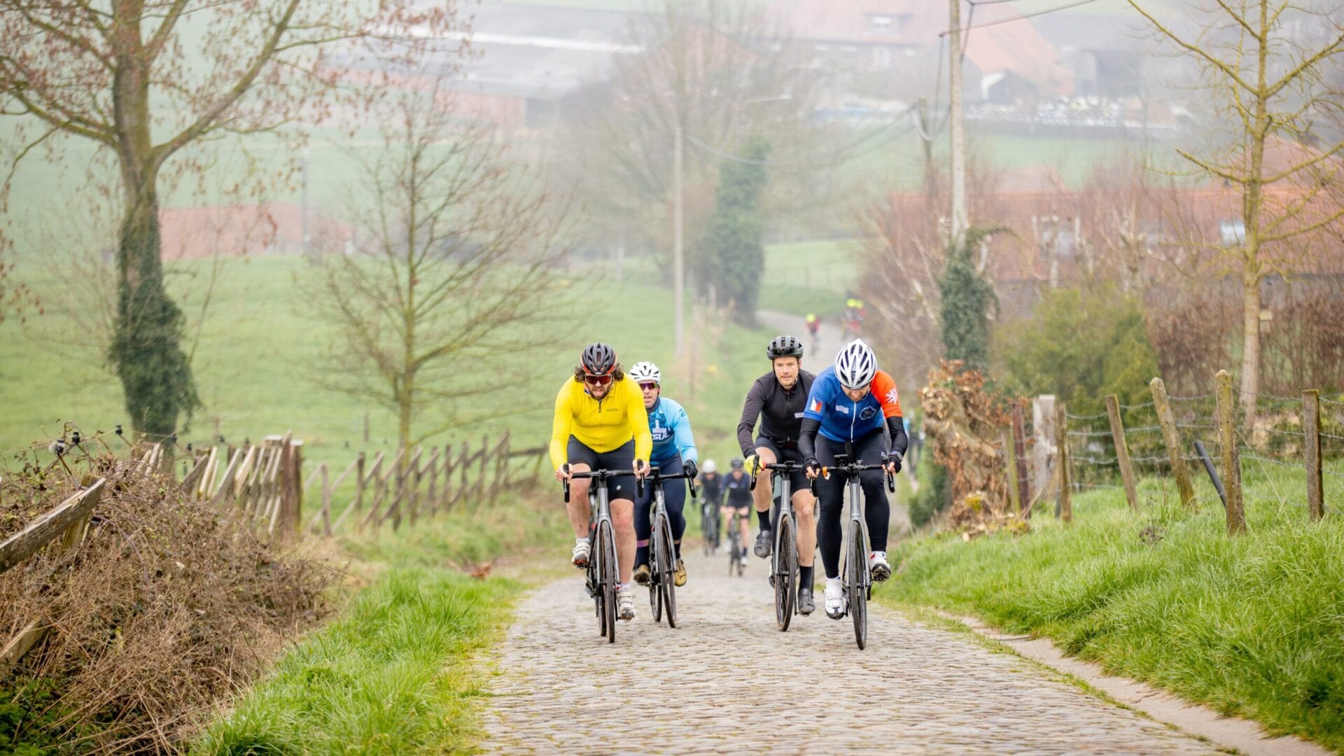 Group of cyclists tackling bergs and cobbles near Oudenaarde, Flanders, Belgium