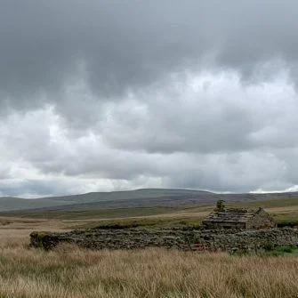 Stone enclosures and buildings dotted over the Yorkshire Dales