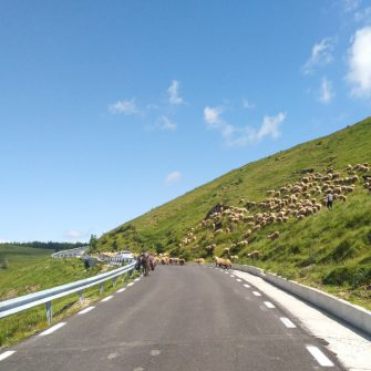 Piatra Arsa cycling climb Romania