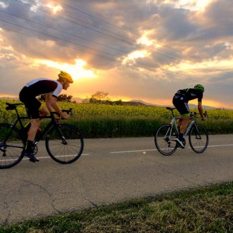 Road cyclists at sunset