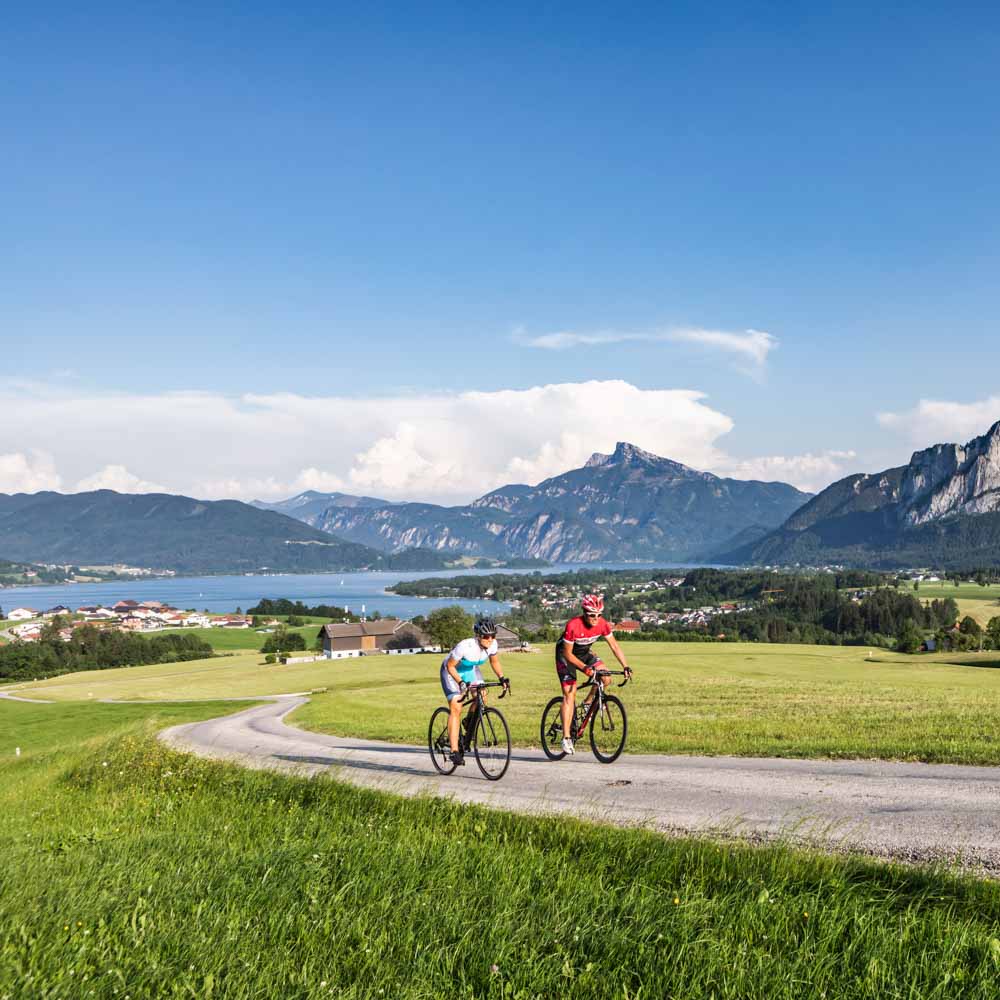 guided cycling tour austria