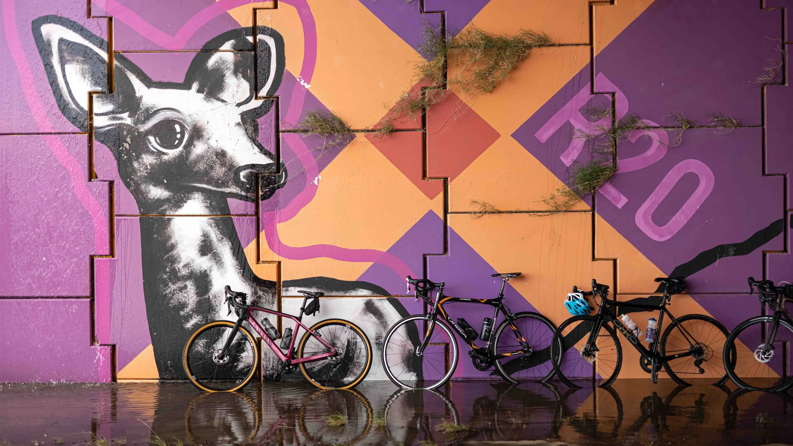 Bikes against a colourful wall in South America