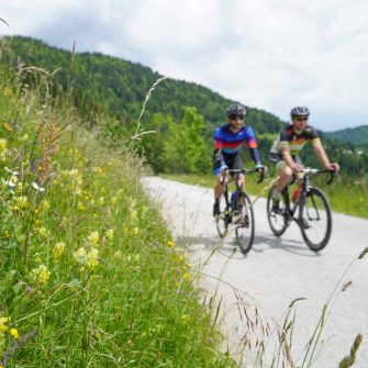 Cycling route in Slovenia through wildflower meadows