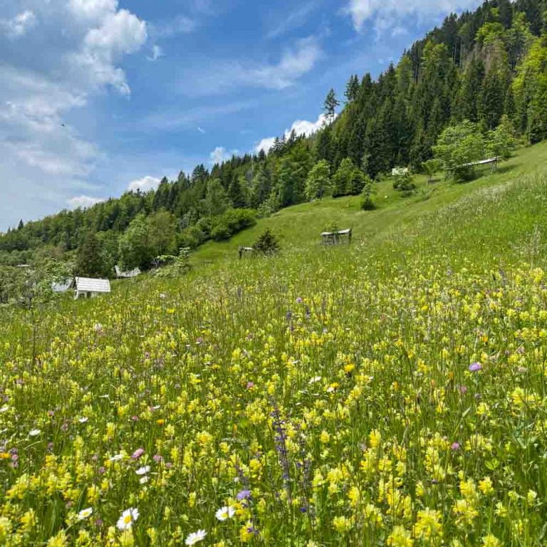 16 best European cycling routes EuroVelo, road tours + more