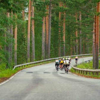 Cyclists in the forest on the course of the Saimaa Cycle Tour in Finland