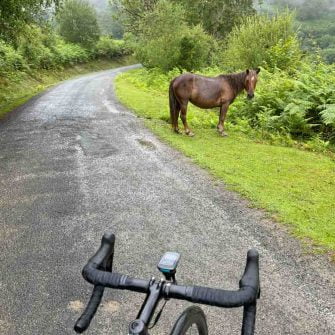 Cyclist on a road in basque country with horse in front