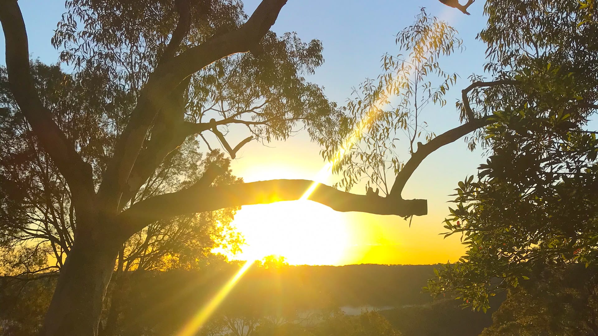 Sunrise at Bobbin Head near Sydney, Australia
