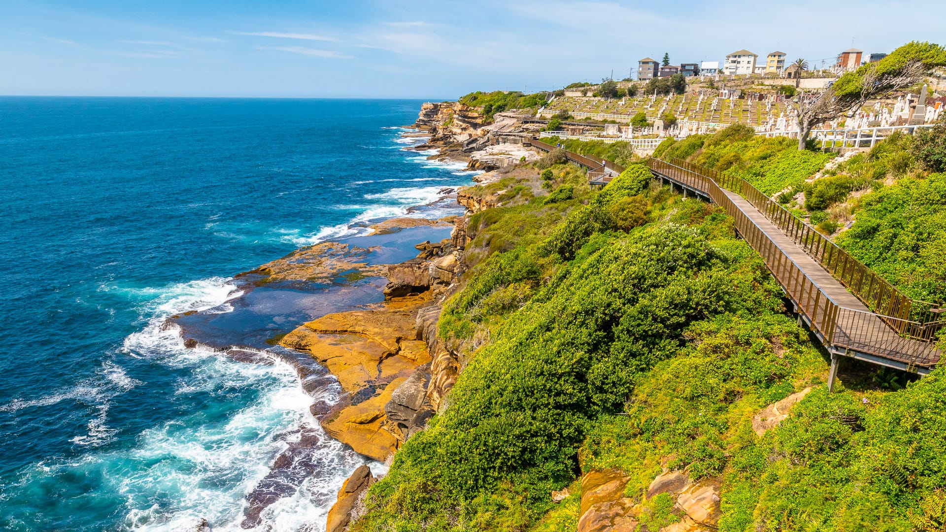 Parramatta Park, Sydney