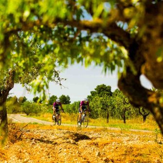 Cycling through the Ebro landscape