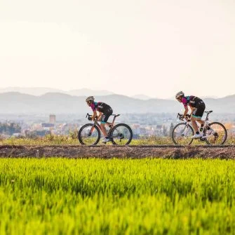 Cyclists racing through the Ebro Delta, Terres de l'ebre, catalonia
