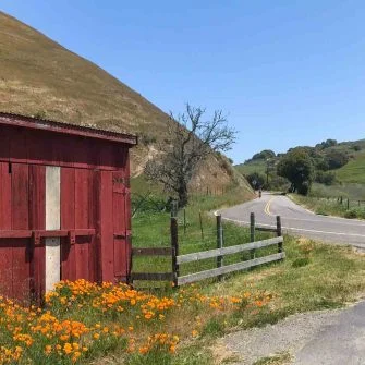 Barn on Marshall Petaluma Road