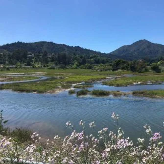 View of South Larkspur near San Francisco