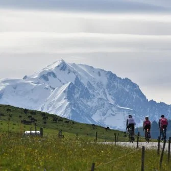 Cyclists of cycling coaching head towards the snow-capped mountains