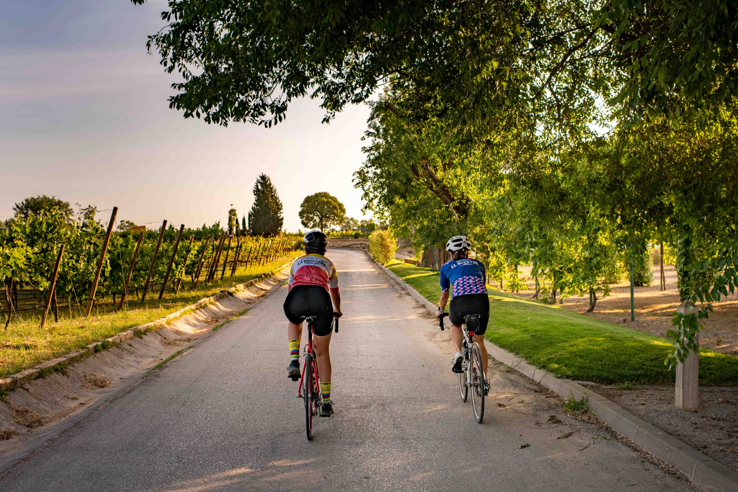 Two cyclists cycling a Penedes cycling route