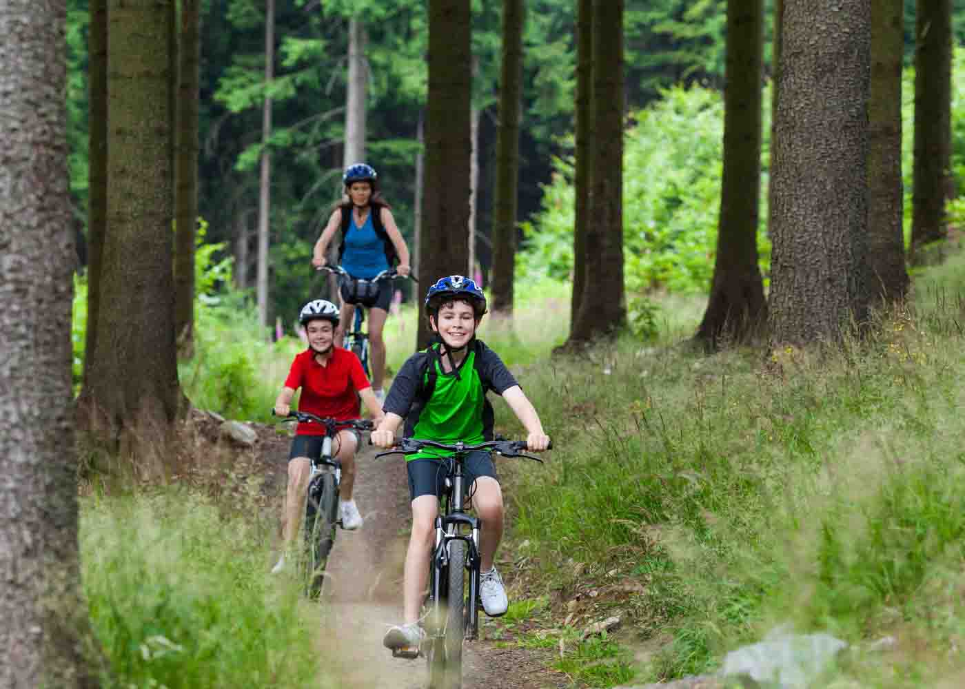 Children cycling through a wood