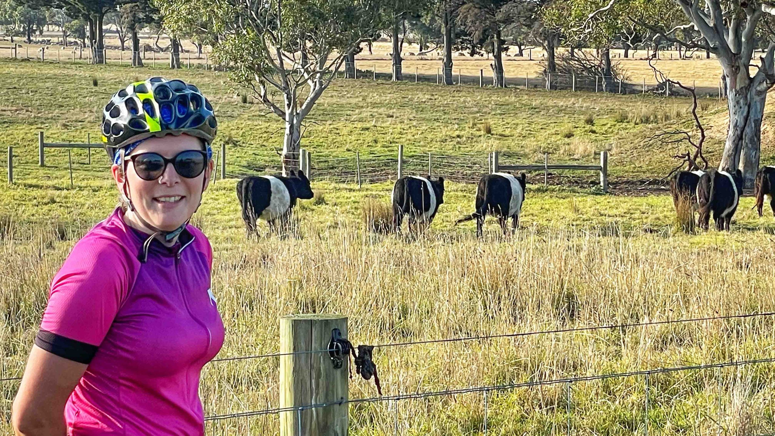 Cows and cyclist at the Bellarine Peninsula (photo taken at Curlewis)