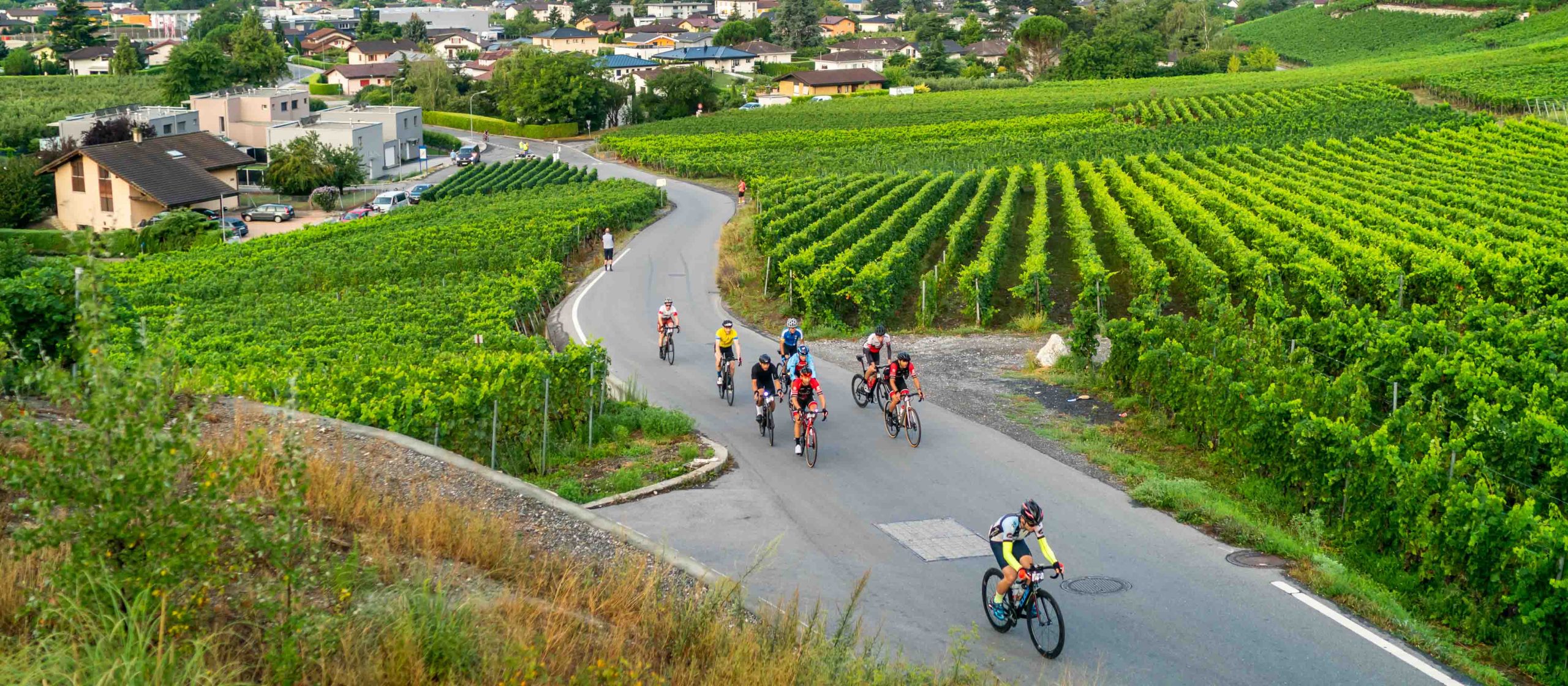 Cyclists cycling through vines on the Tour des Stations gran fondo