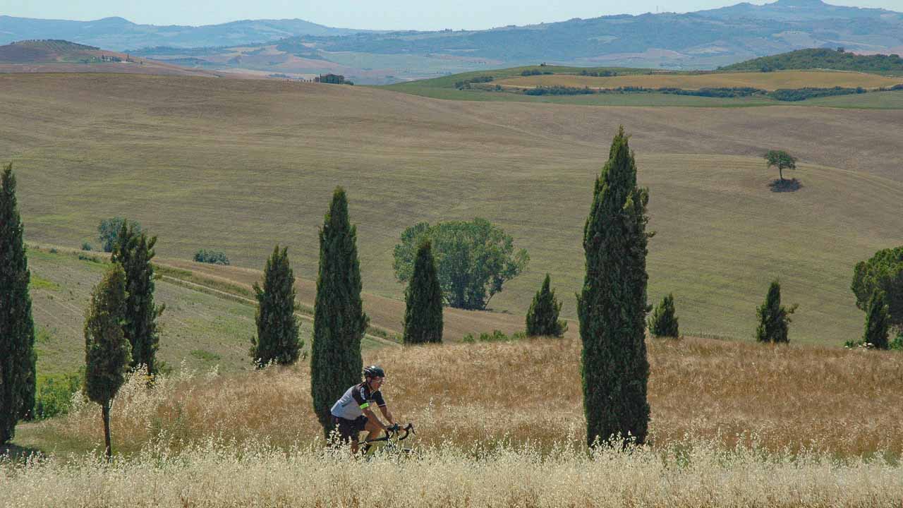 Cyclist amongst cypress trees on a cycling route near Pienza