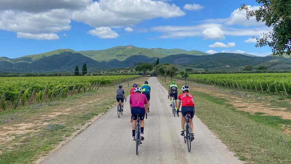 Cyclists through Cycling though the Vineyards of “Antinori” Tuscany
