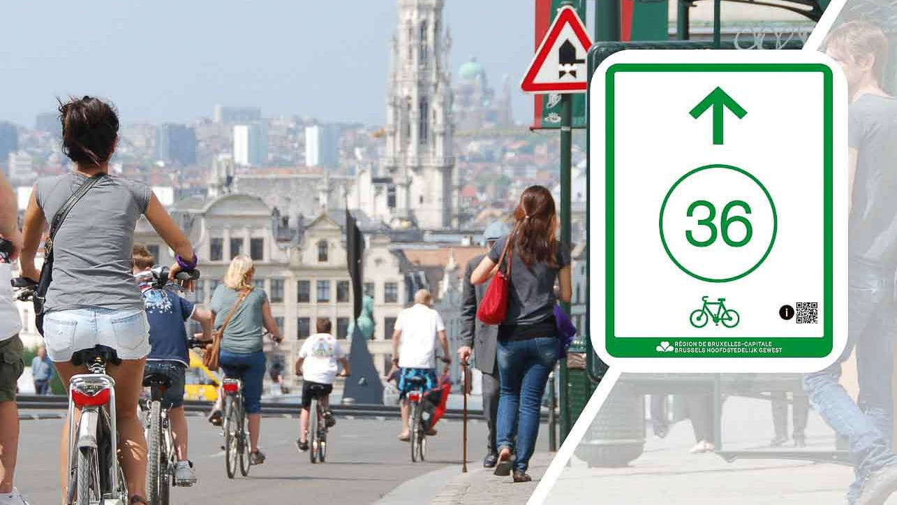 Cyclists on Brussels cycle node network