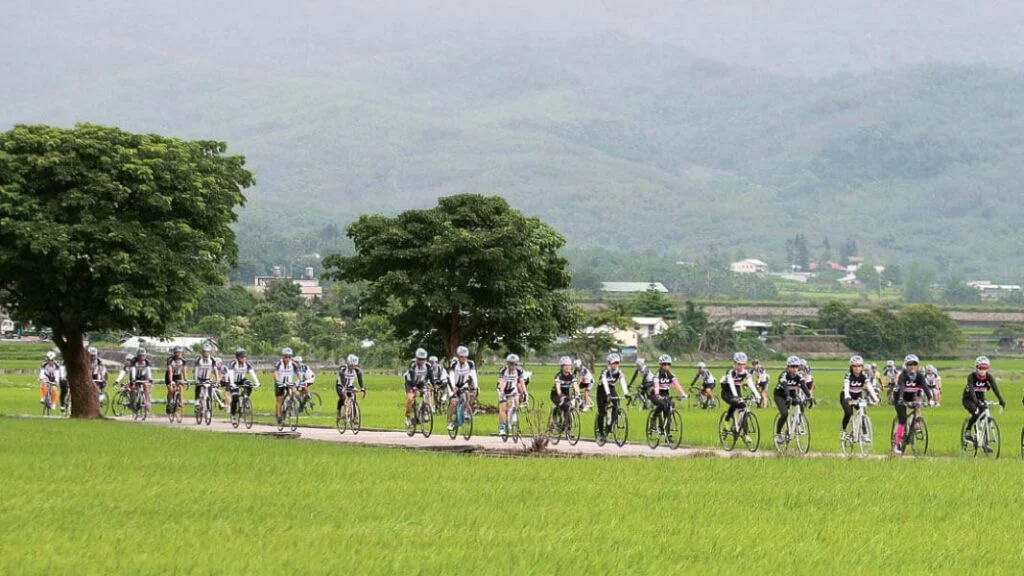 Cyclists in Yuli, Taiwan