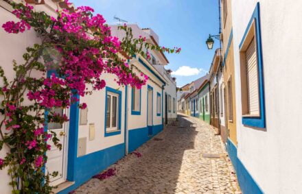 Street with accommodation in Ferragugo, Algarve, Portugal