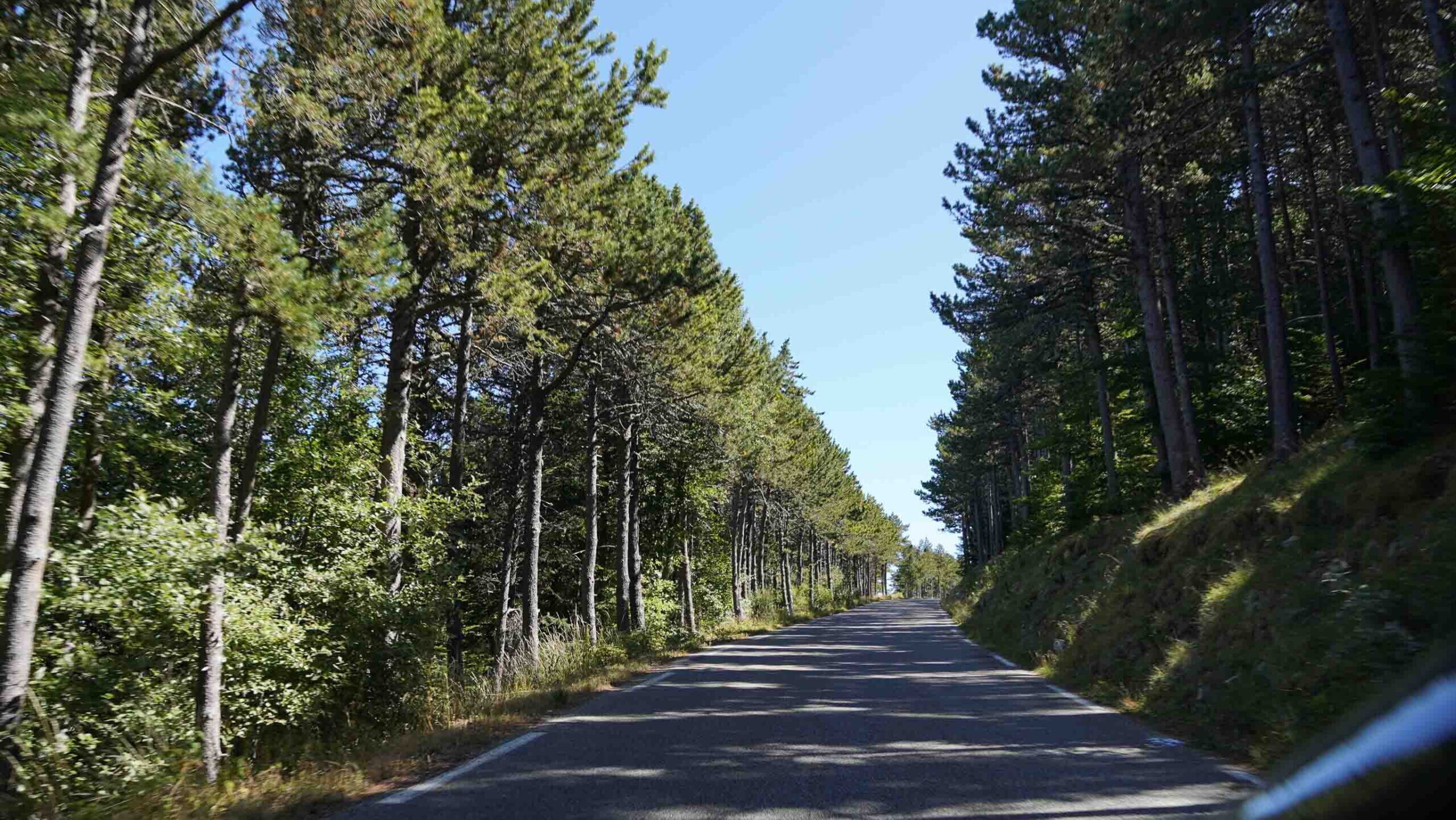 Long stretch of forest on the way up Ventoux from Malaucene