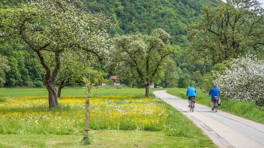 Two cyclists on a bike path near the Danube in Austria