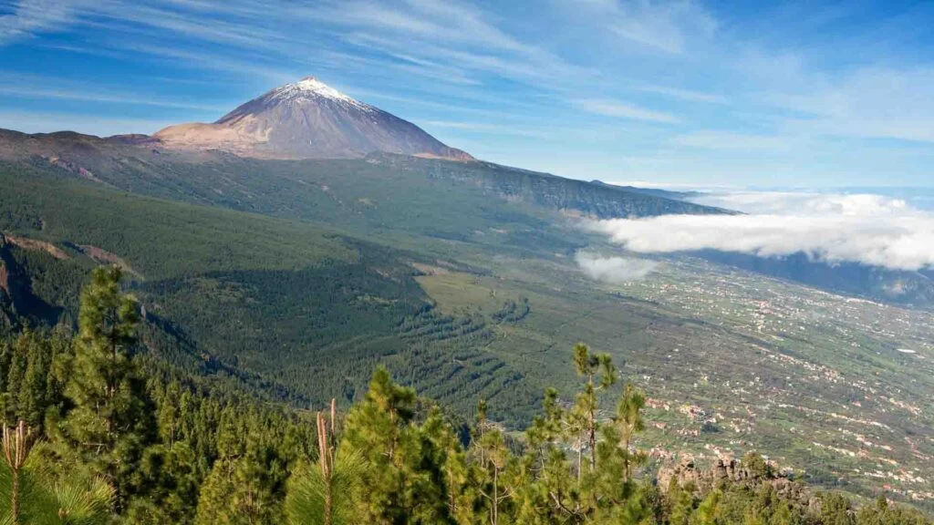 Mount Teide in the background and forest landscapes perfect for cyclists