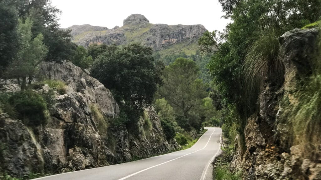 Coll de Femenia