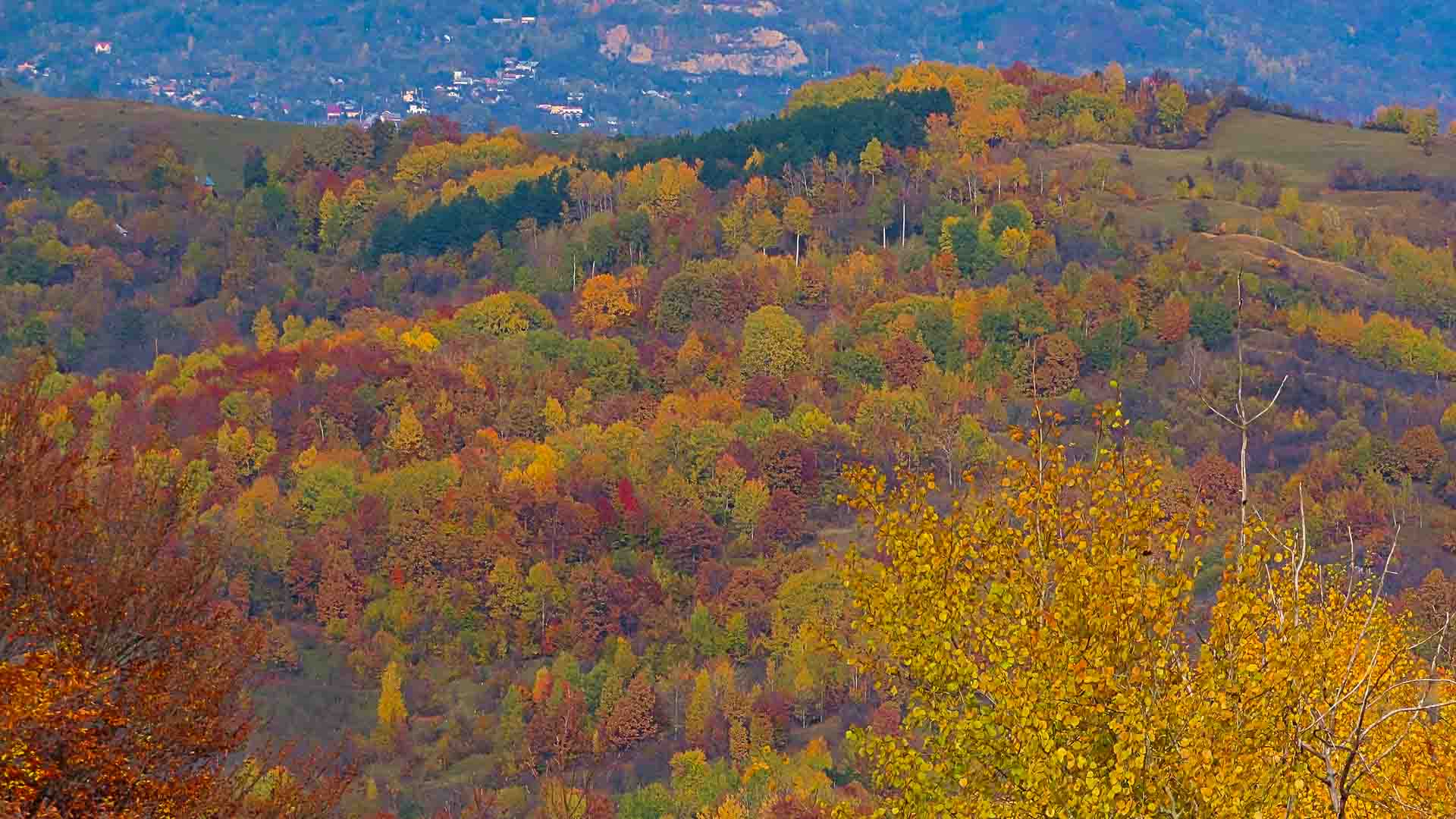 Spectacular Autumn colours in Romania