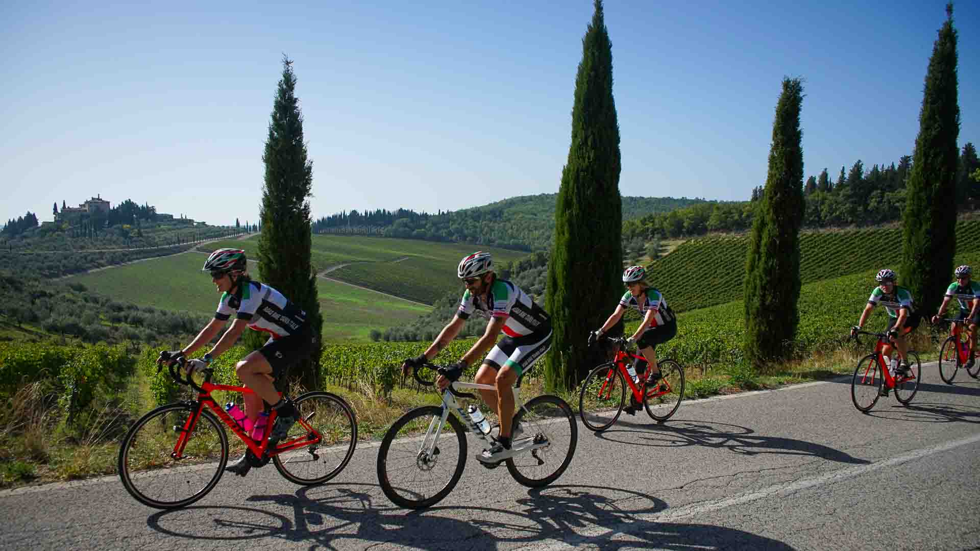 Cyclists on a road cycling holiday in Tuscany by Cypress trees