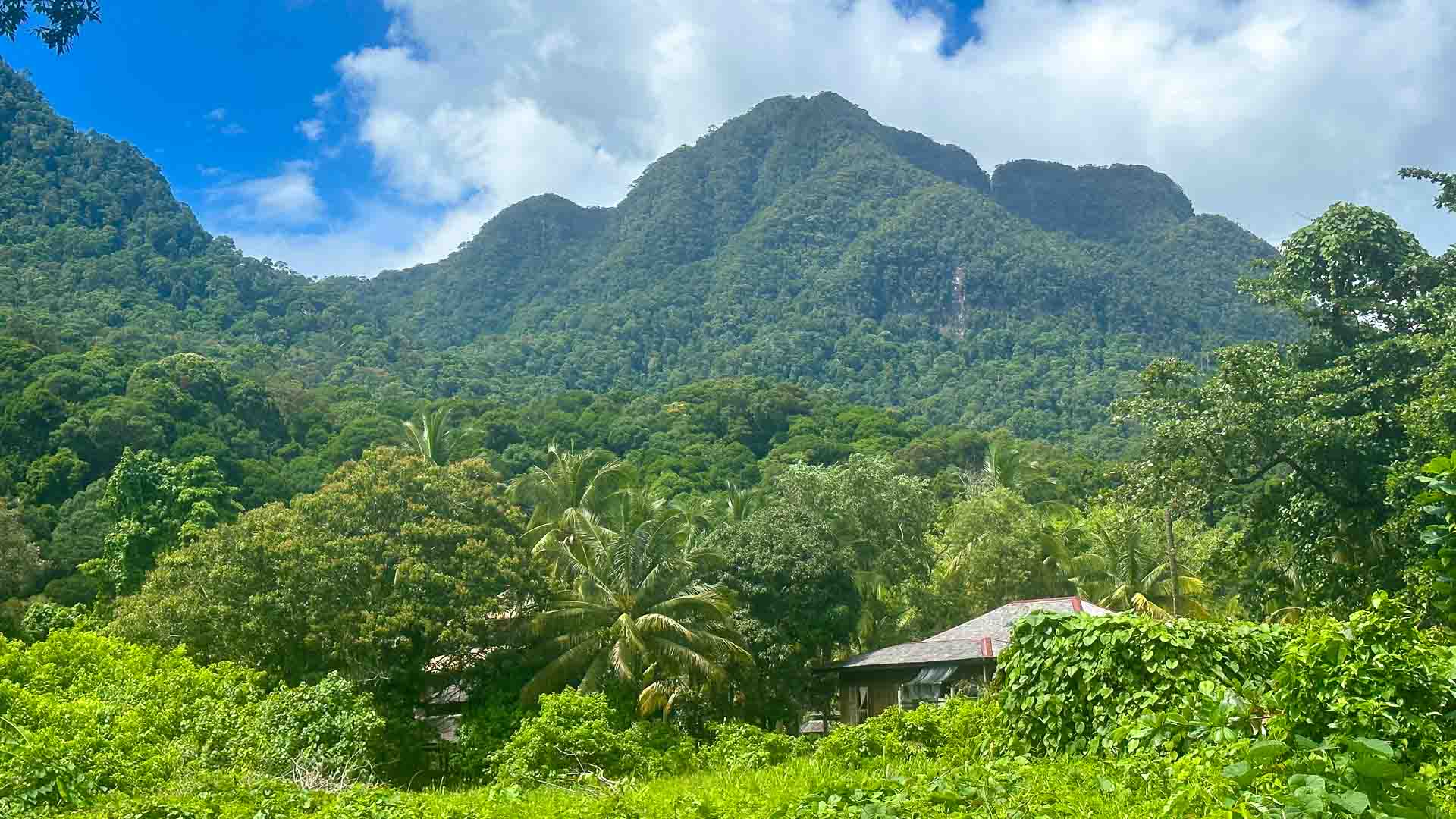 Mountains of Sarawak