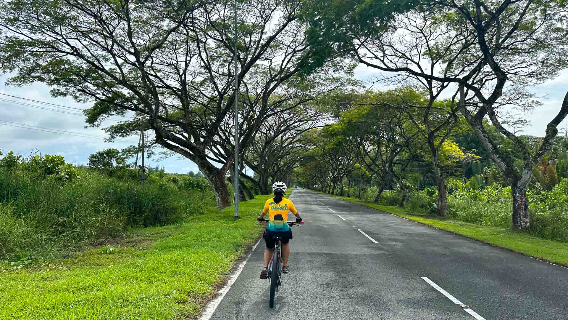 Road cycling in Sarawak, Borneo