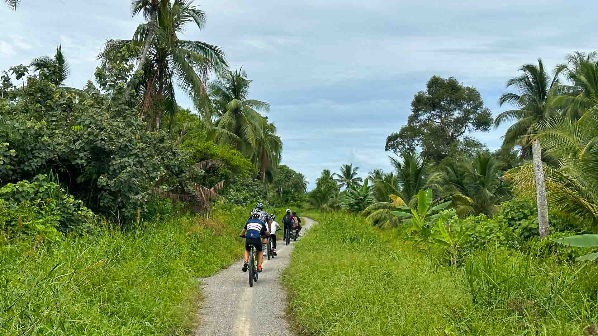Group of cyclists on a cycling path in Borneo with grass and trees on either side