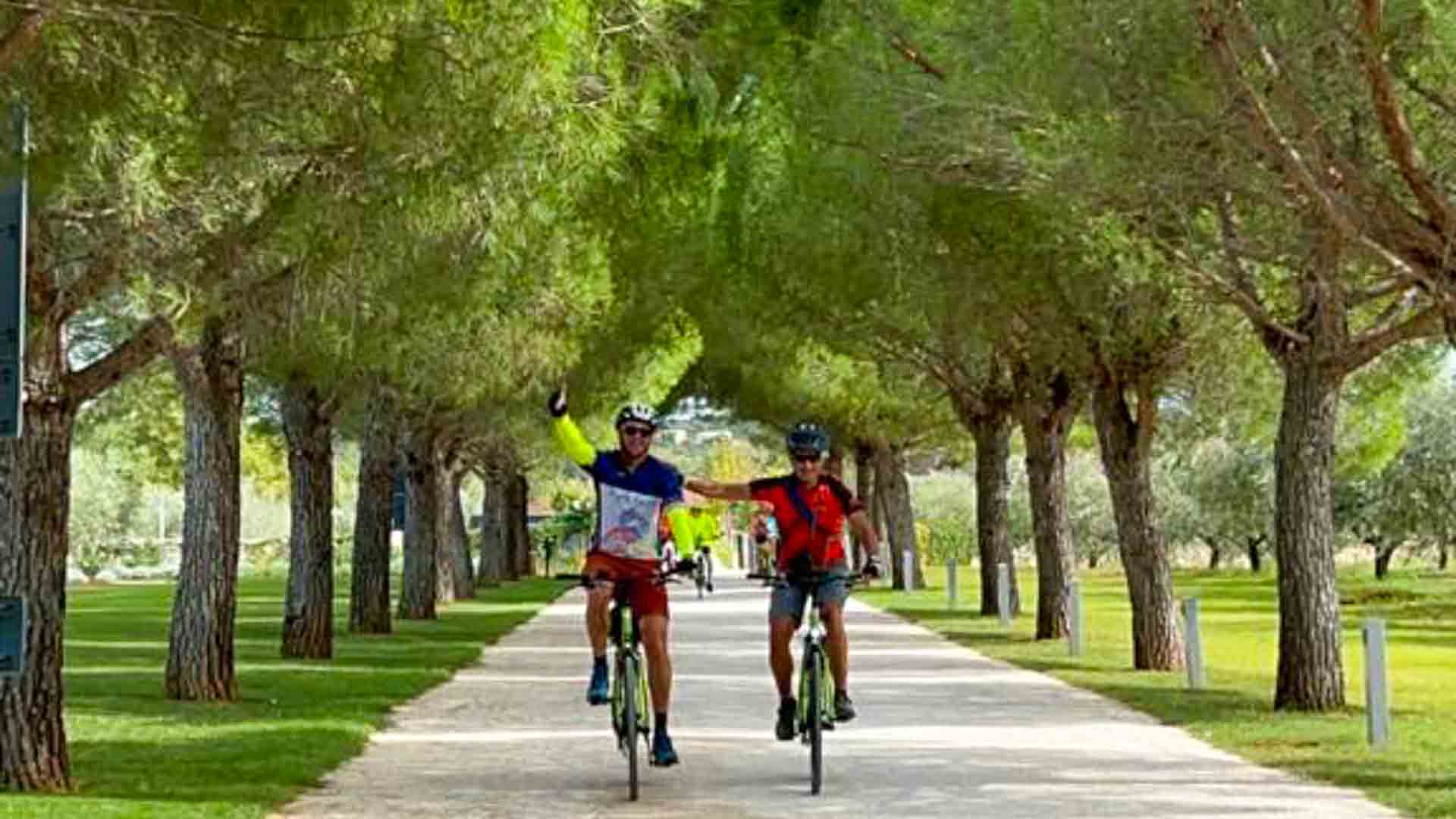 Cyclists cycling through tree-lined path in Istria, Croatia