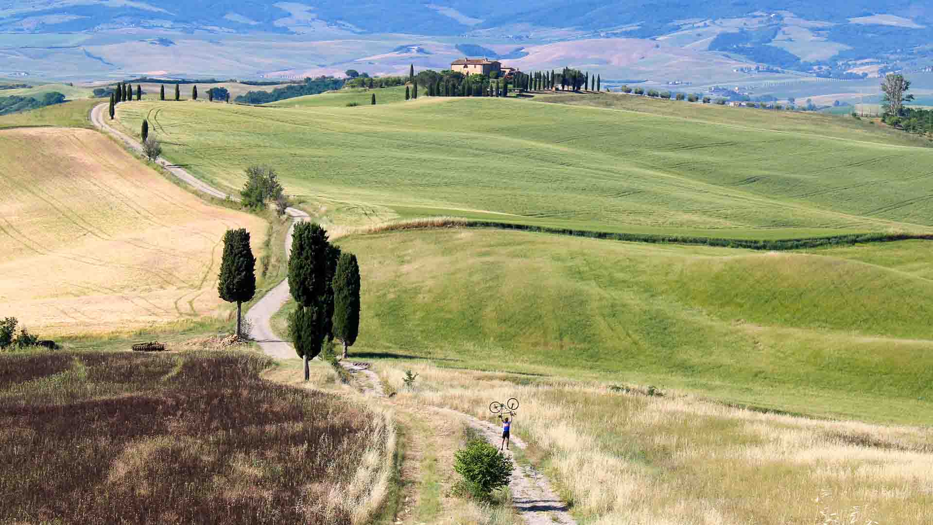 Cyclists riding in rolling hills of Tuscany