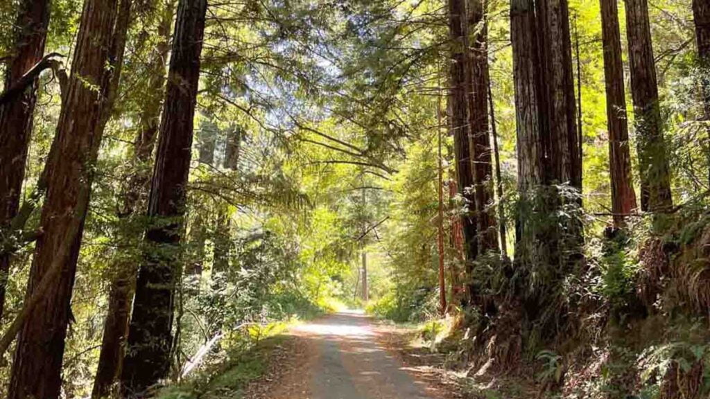 9 most bike friendly cities (for cycling holidays + city breaks)