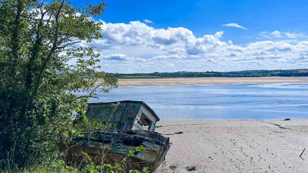 The impressive river Taw Estuary between Braunton to Barnstaple-3856
