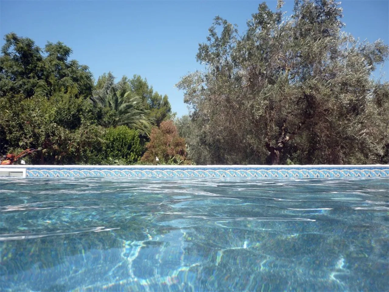 Close-up photo of the outdoor pool at B&B Villa Giuliana in Arnesano with clear water and surrounding greenery