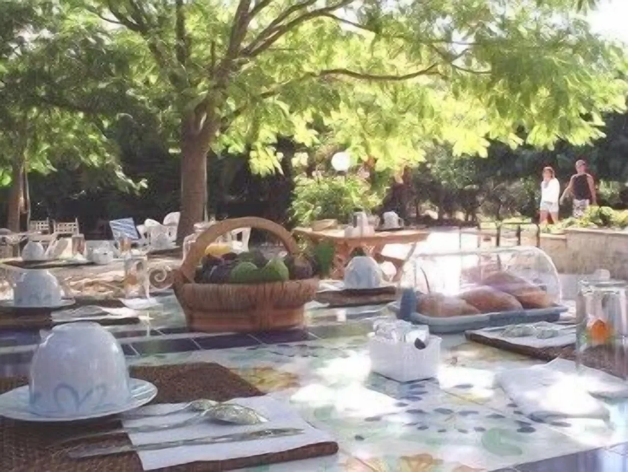 Outdoor dining setup at B&B Villa Giuliana in Arnesano with a natural, garden-like atmosphere