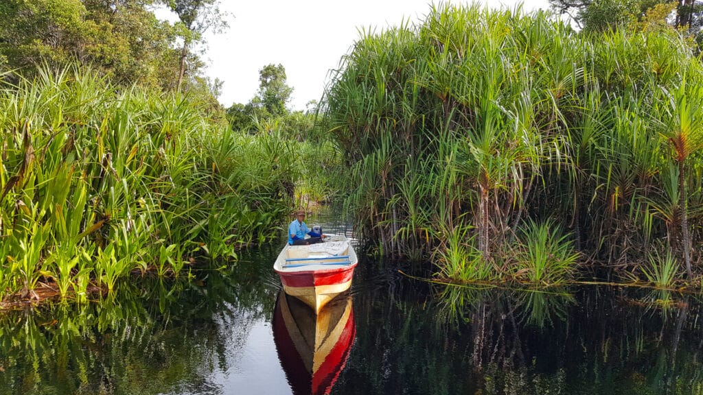 Paradesa Guide to cycling Borneo's Sarawak region + tips