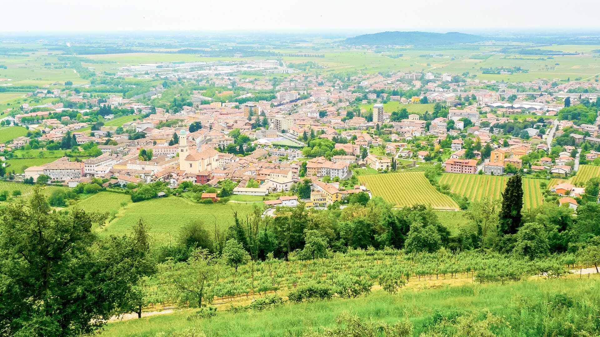 Aerial view of Cormons, Gorizia, in the wine region of Friuli Venezia-Giulia, Italy