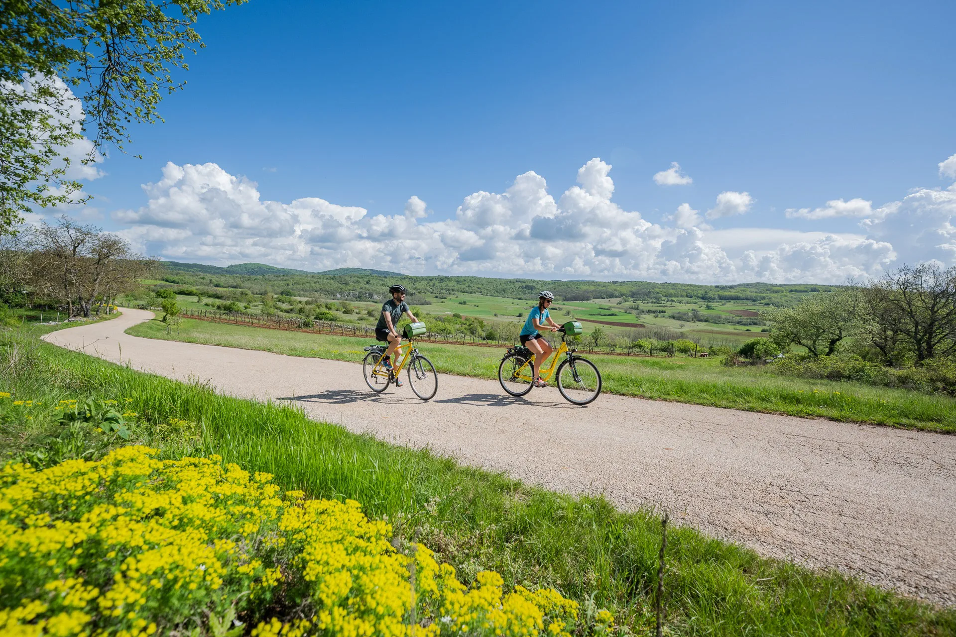 The Parenzana bike trail