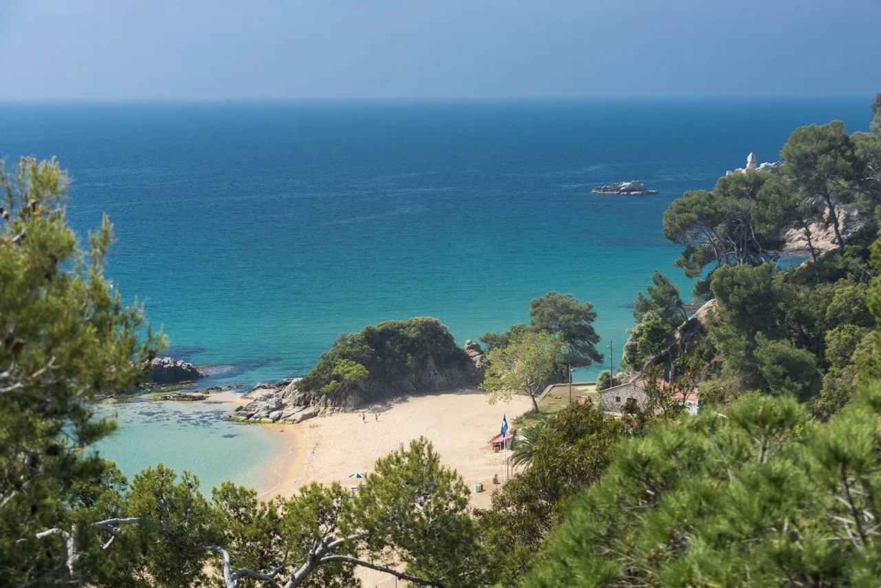 Aerial view at Hotel Santa Marta showing the beach and surrounding trees along the scenic Costa Brava coast