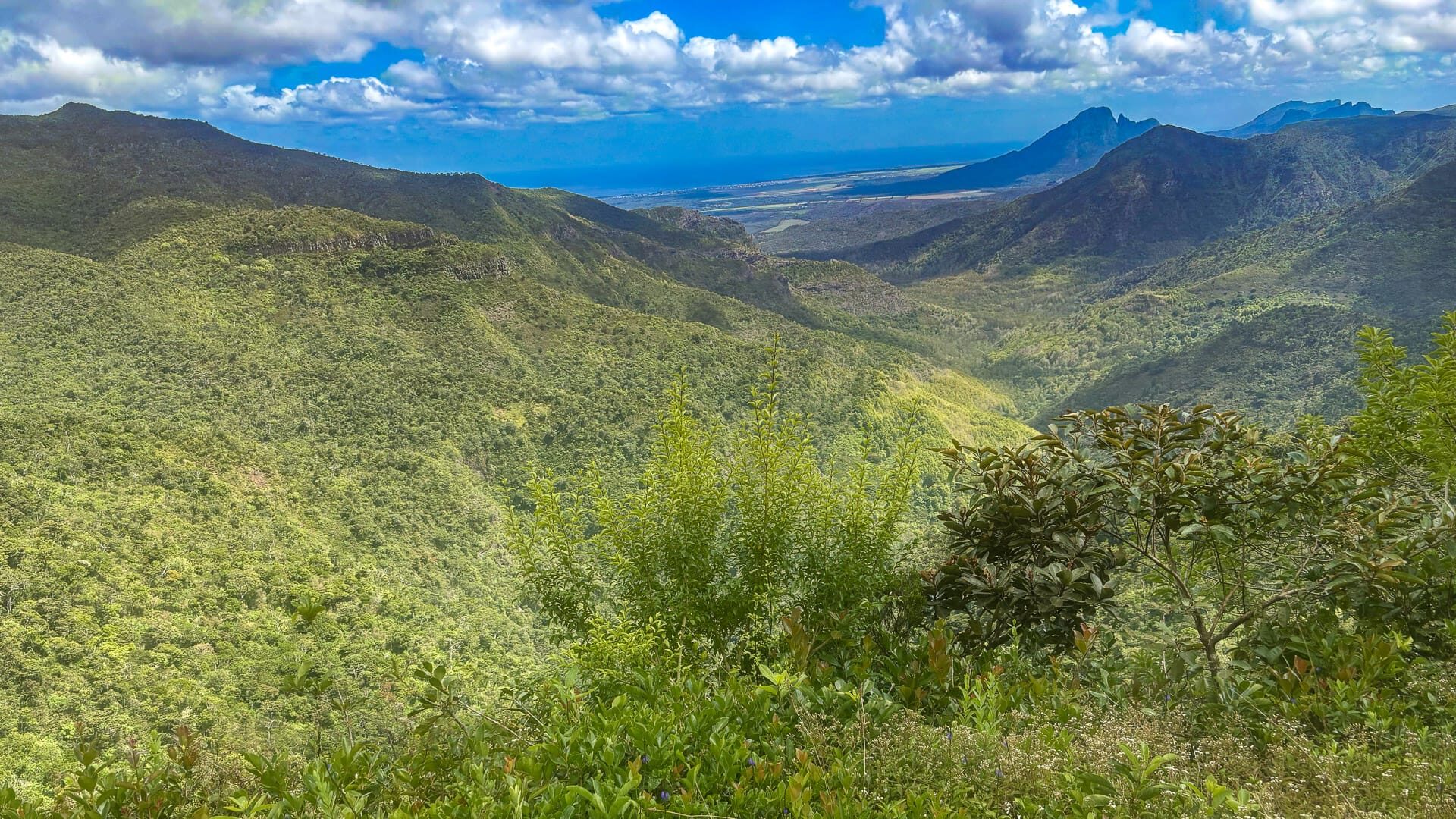 Black River Gorges National Park
